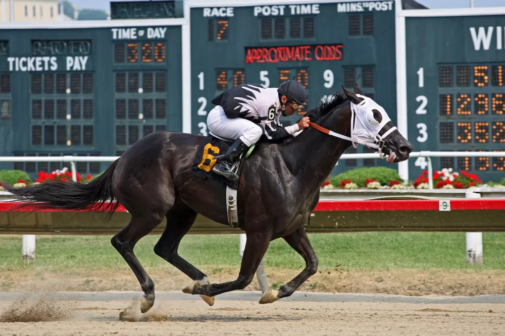 Navigating the Landscape: Betting Apps in California